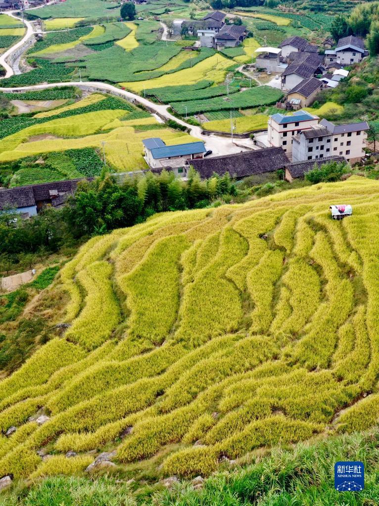 ag亚洲厅